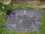 image of grave number 816561